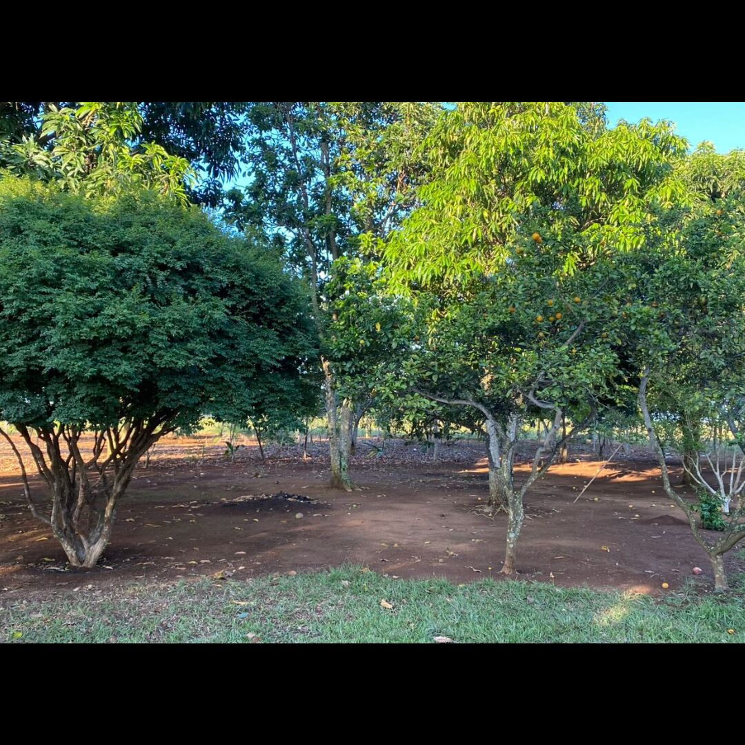 Chácara de laser - Imagem 5