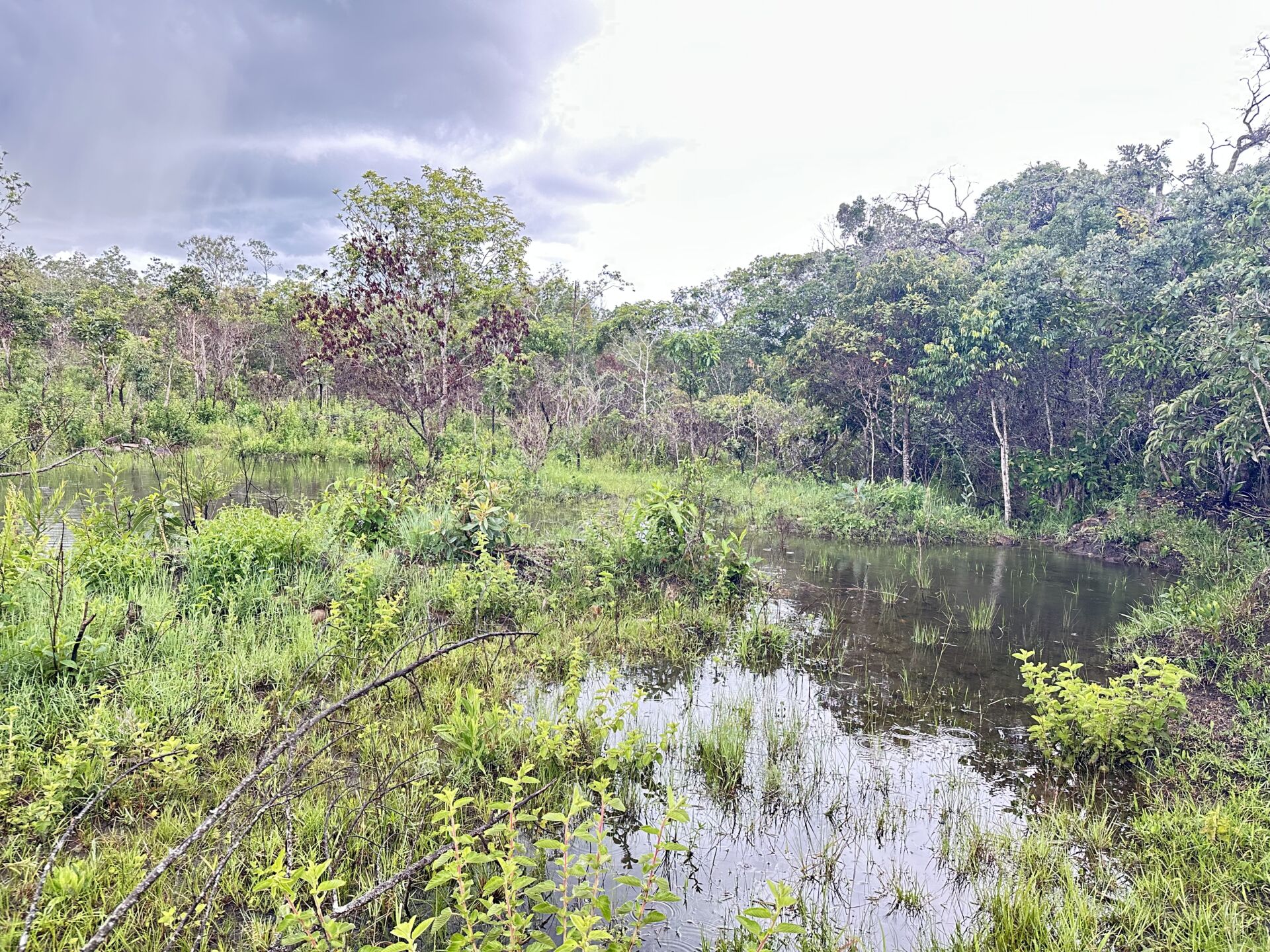 Chácara caminho de cora em piri - Imagem 3