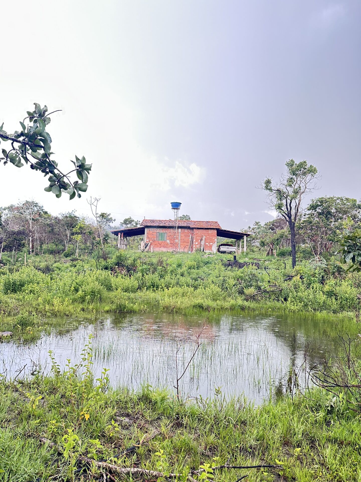 Chácara caminho de cora em piri - Imagem 2