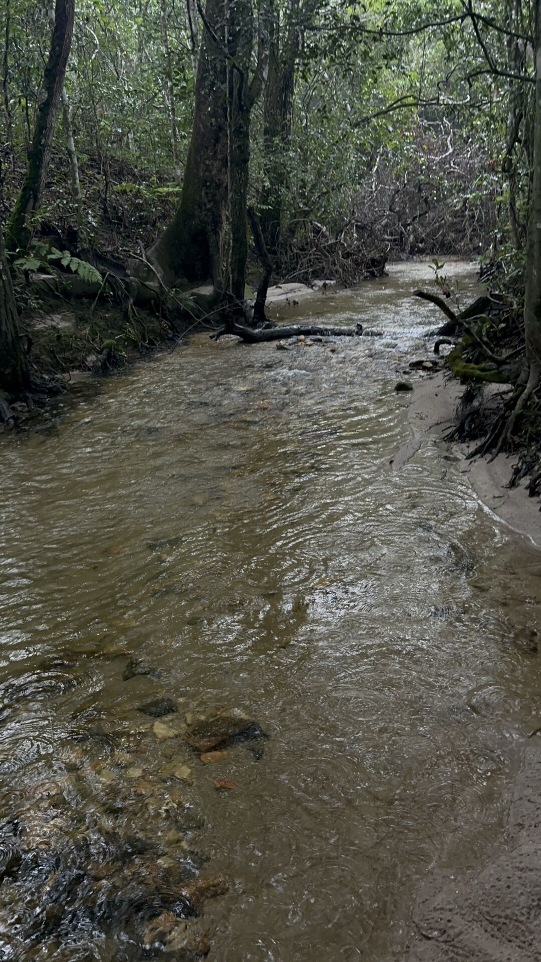 Chácara caminho de cora em piri - Imagem 4