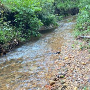 Terreno Próximo Cachoeira Abade em Pirenópolis