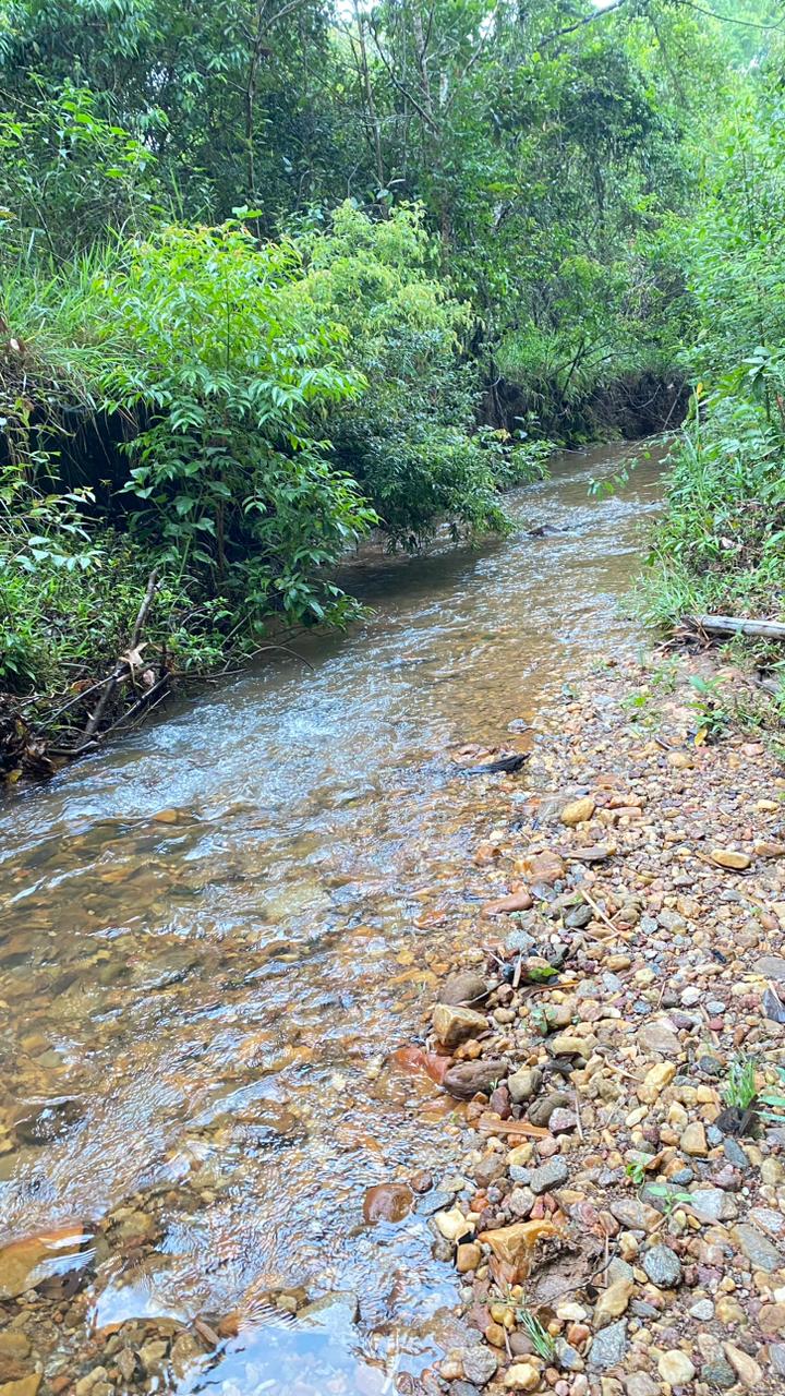 Terreno Próximo Cachoeira Abade em Pirenópolis