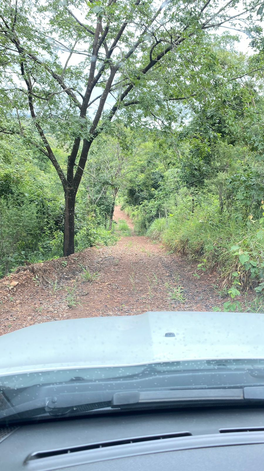 Terreno Próximo Cachoeira Abade em Pirenópolis - Imagem 4